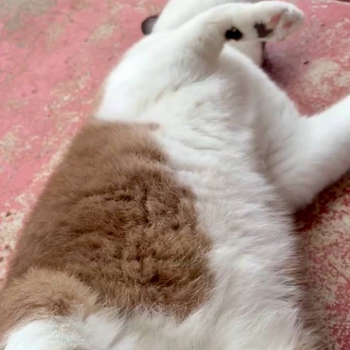 C84937f8 567e 4b7c 8117 11457ceec350 1750820301797