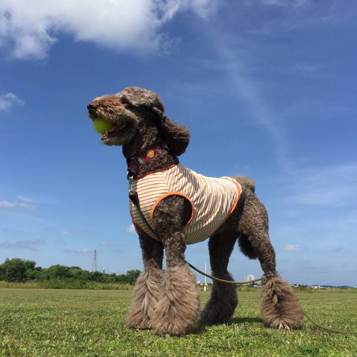 C8499ed7 ec30 4747 8dee ae1666cab117 1528456291610