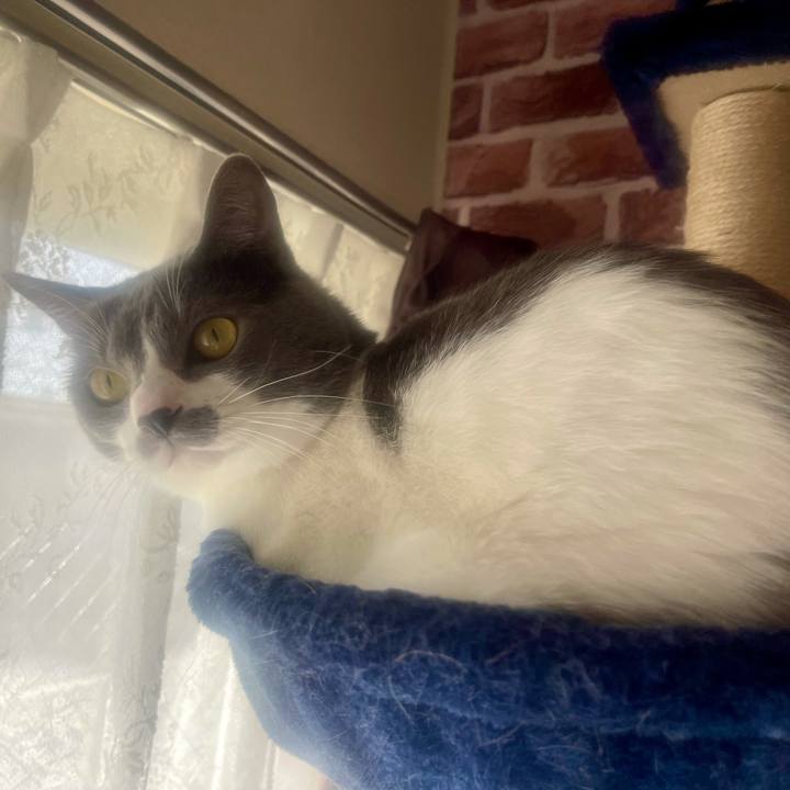 C849a109 826c 4826 8c32 97303ac3cfe8 1637287078848