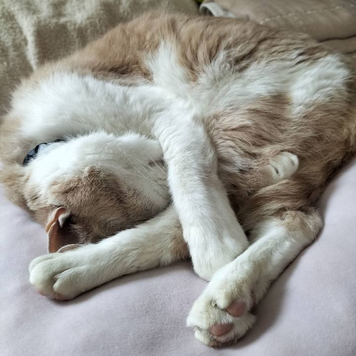 C849a8f5 d89a 4cb9 8575 b01a5006c148 1659765895099