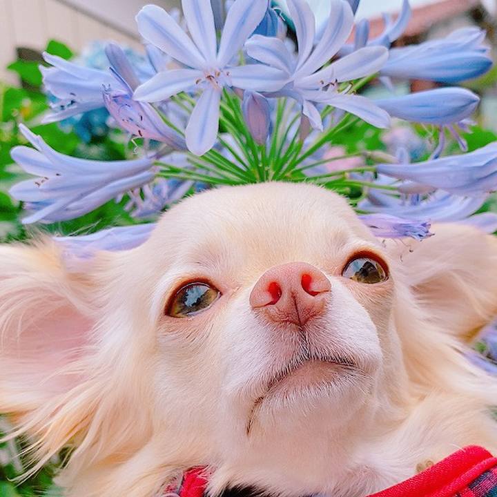 C84a26c5 d3ff 46c4 88c3 5195aa32ef5b 1624618056984