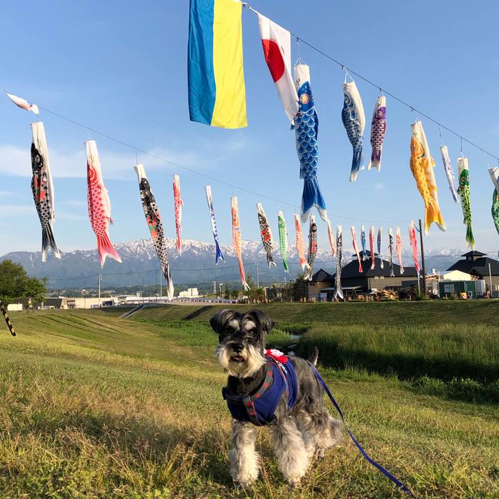 C84a2ce0 61b2 45a3 bedc ef4737274f2d 1682952378260