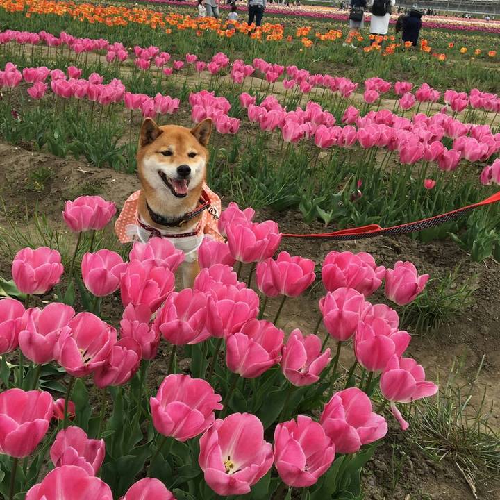 C84a43ec 7e92 4f1c ab98 b6c7bc863dd1 1555844044909