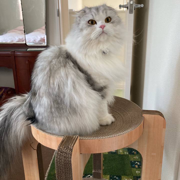 C84a504c 02be 40f1 bf09 7ee85bc41a91 1646287007938