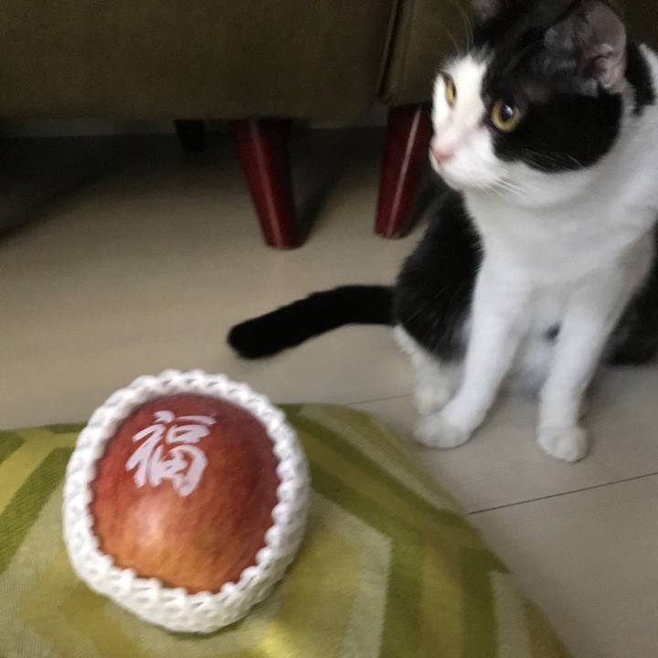 C84a7ab2 8c5b 4b6d b594 d0213f4d366f 1545042731979