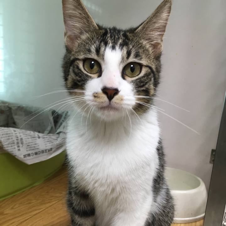 C84a9d3c 0802 4ca7 b7ce 6715d861c097 1540192718224