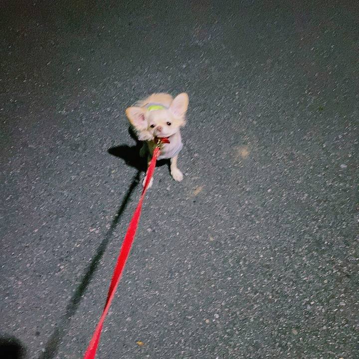 C84aed7c 41c2 452a 9d34 60389d6dcb34 1632568442641