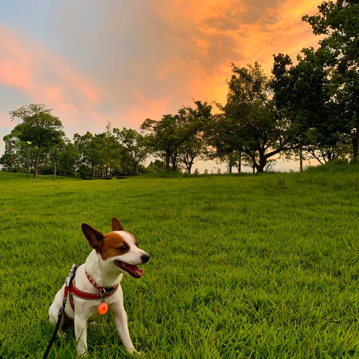 C84af163 4676 4cfd 899c 1ba56cb25f53 1566732032597