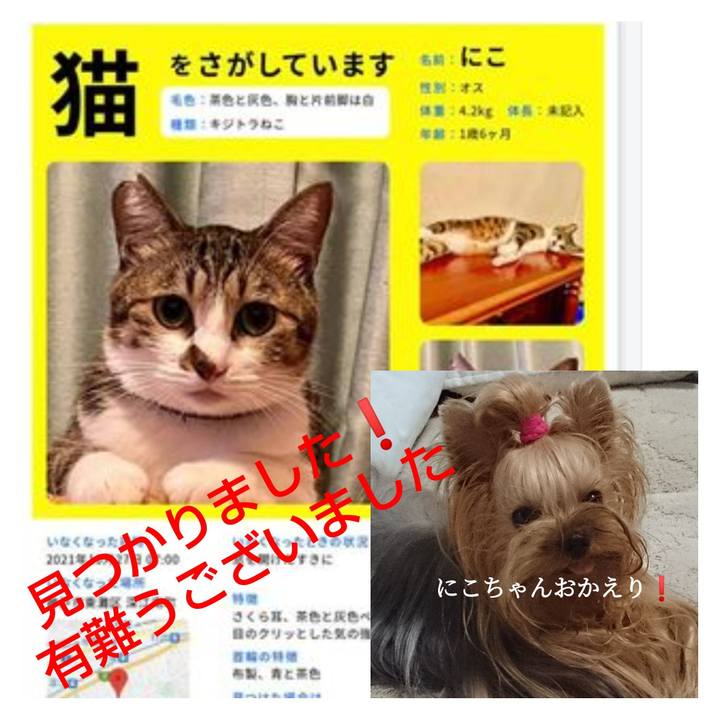 C84b15e0 fc04 4c69 9f82 b7eb3f3c10dd 1636150613254