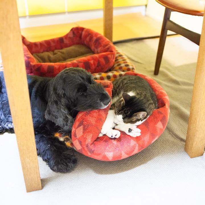 C84b1a41 c670 480d 8a9d 5c15c41c39d1 1608799210179