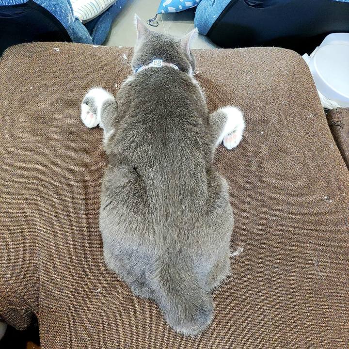 C84b2856 ed09 4d4c 9f9c 9d8af2d03cb6 1723039091918