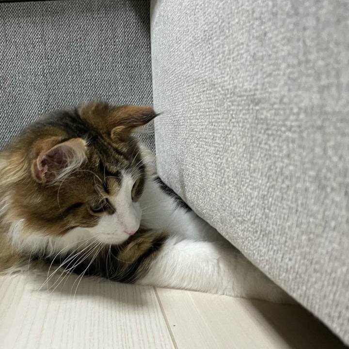 C84b2a15 f931 4ce6 a4ef 726bddfd02fc 1636750895454