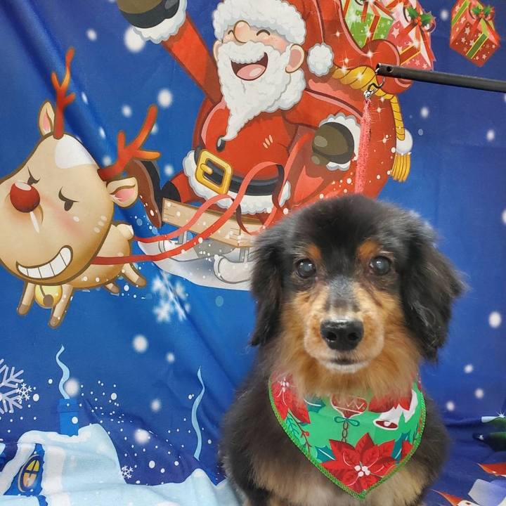 C84b4551 c9b4 49e2 8dbf 66b9606beaad 1670064968941