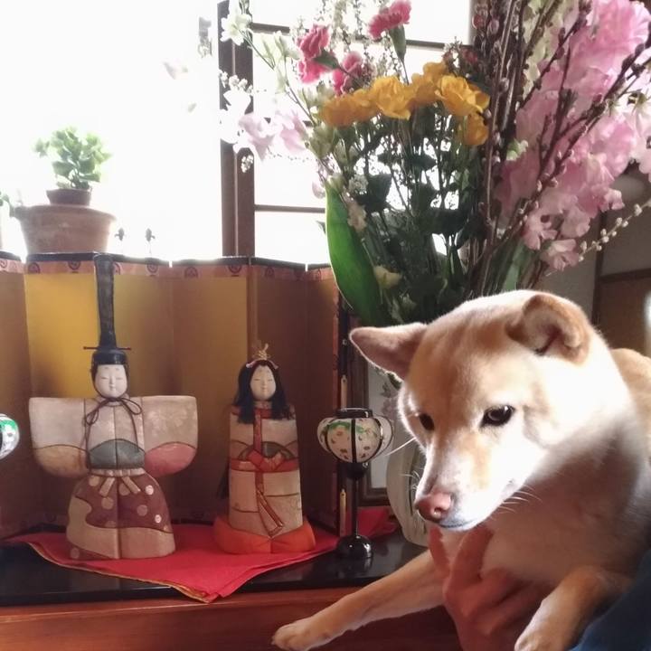 C84b83c5 8df9 48f0 aba7 027042d9b9ae 1551587203137