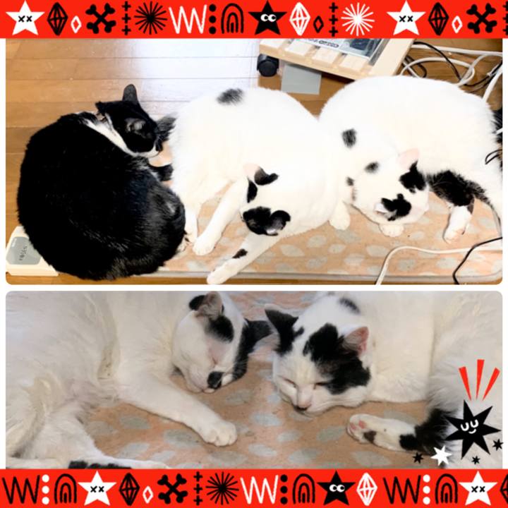 C84ba772 6de4 41f5 9546 8b4306adbf4a 1572757376965