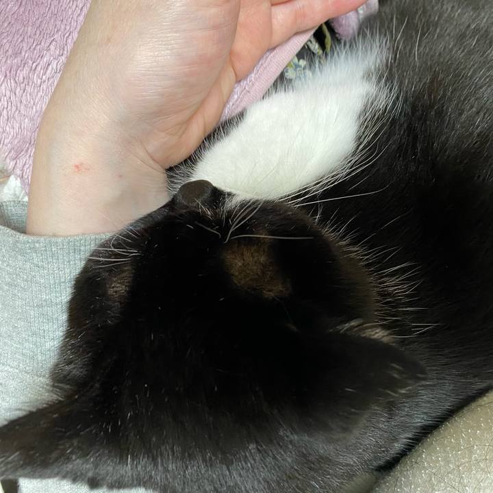 C84ba9ee 9fd9 446b bd5f 810a85919481 1702986895494