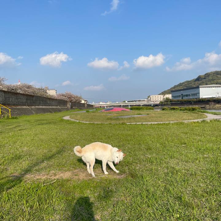 C84bd4cf fc0c 4a8f 8658 6f85f5a55d01 1649403677830