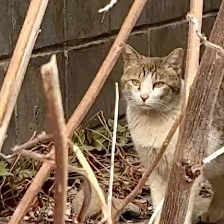 C84c224b e06c 40b9 bcf6 1ce2db19da4e 1774351778503