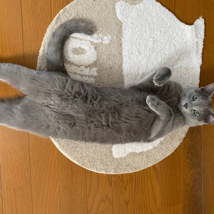 C84c2479 a08e 48ca a940 6b15109fe288 1586142089236