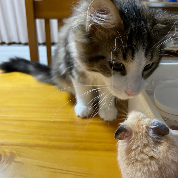 C84c288d 152b 4650 9c29 566c2ede4173 1635883199727