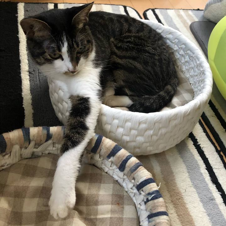 C84c3f9a 1022 4280 95f9 77e55ce961b2 1598936537073