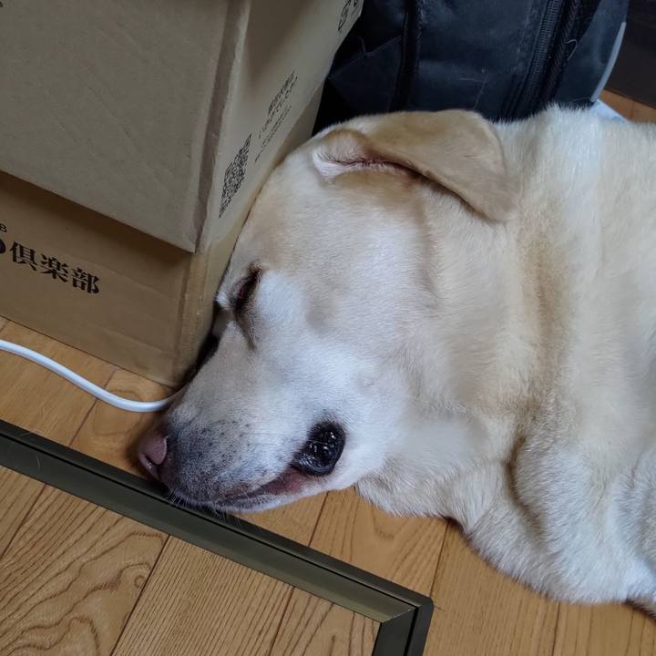 C84c3fc1 3b36 4514 9135 df8d51ff28cb 1724411969899