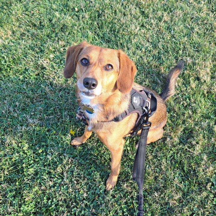 C84c5a73 b42b 4f7c 99d8 416fdf4fd07b 1758029341318