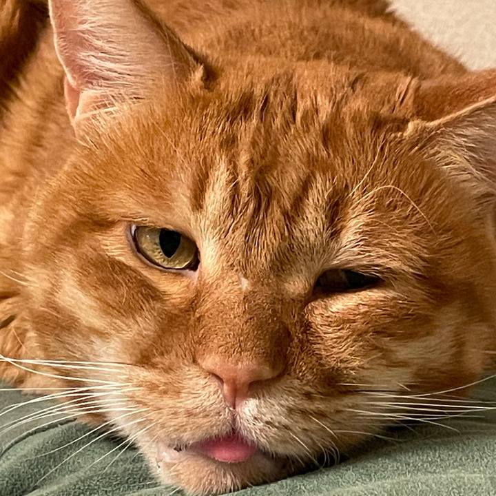 C84c773d 79c4 4887 b678 b5619bf6e628 1674390803390