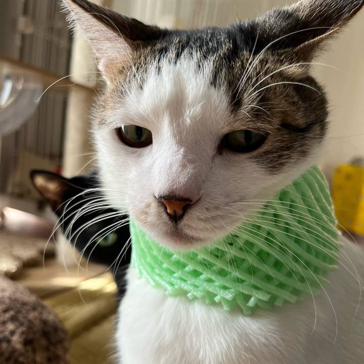 C84cf83d 7c89 4c11 9fe3 a04d6c34cac1 1768141856757