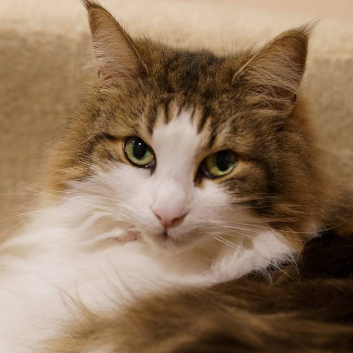 C84d3bb7 8567 46d1 9a9f 2a101089c8dc 1648903762841