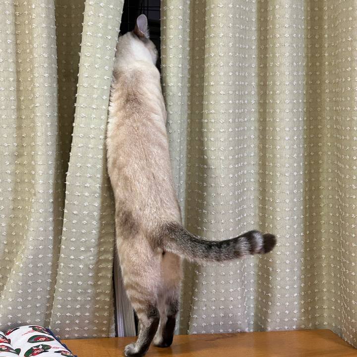 C84d59f2 15f2 4852 98a0 b0e4911a4362 1765111424433