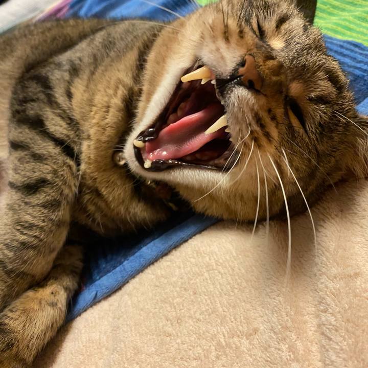 C84d5f91 b78e 43e9 9520 445d7f63f3c8 1596382771865