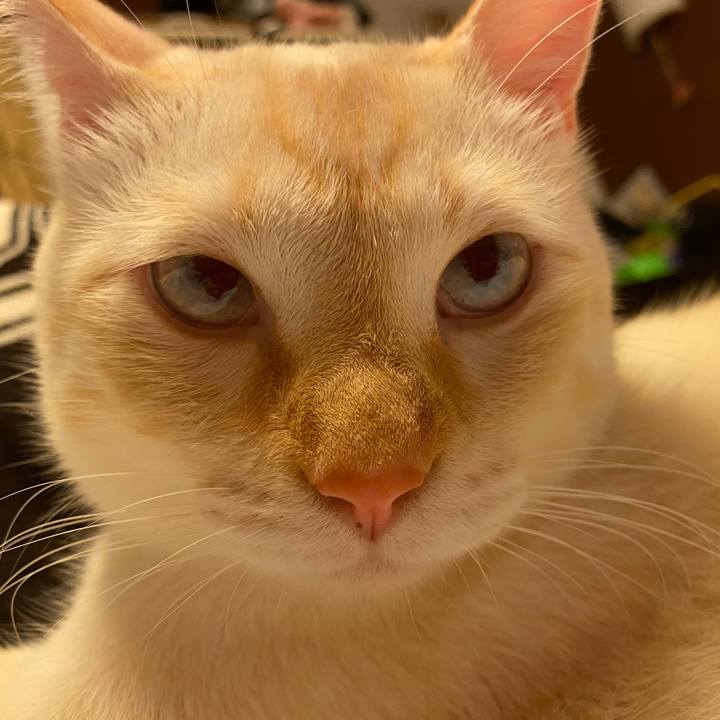 C84d6b11 35b7 4b80 96e8 39bd889b6918 1629021942939