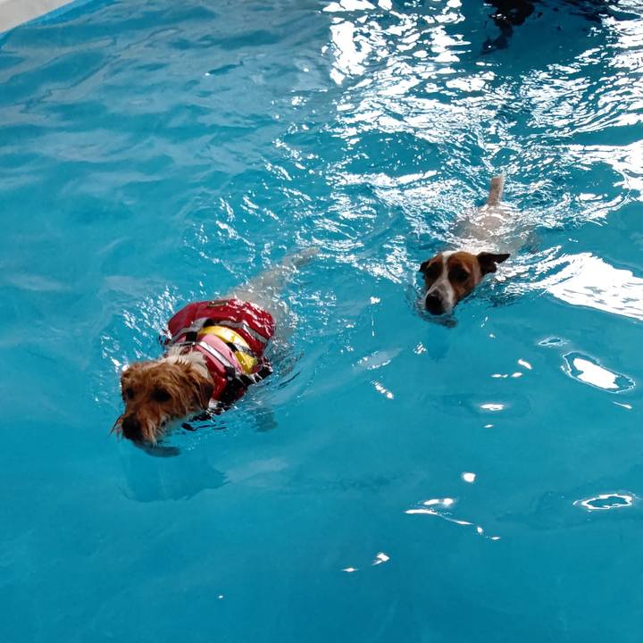 C84d725f cf22 43f3 b033 827ac885aeaa 1630159600248