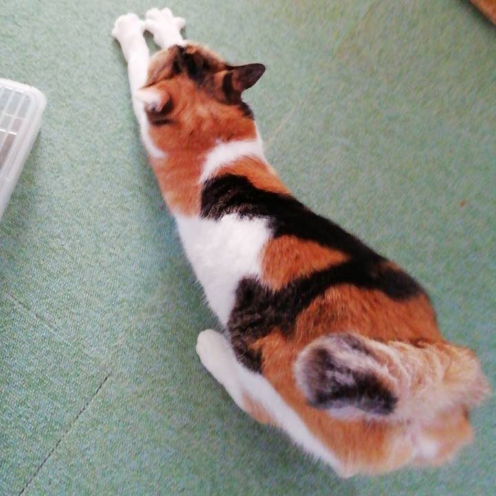 C84d9eea cb83 4b21 b1b3 89051ff4337e 1623643606111