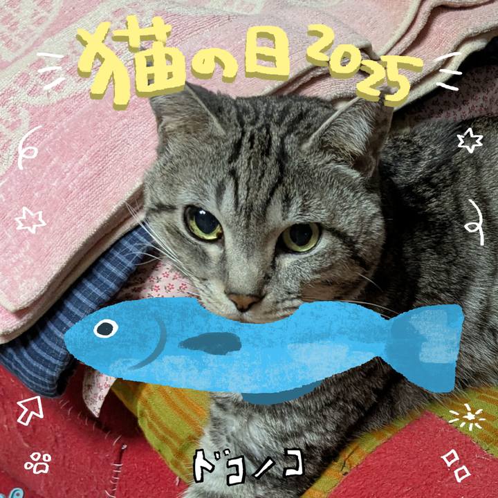 C84dca1e 0dec 4d72 8a29 d4f8a0d343f5 1740147354789