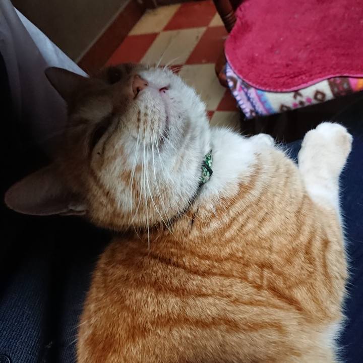 C84dcd8d 0c1c 4a29 a8f1 5f1513094b2a 1581325265867