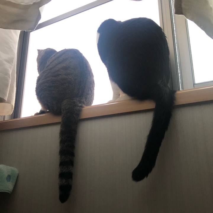 C84dd6ef 57a9 4ec8 91e1 c71b1e49465a 1596226953766