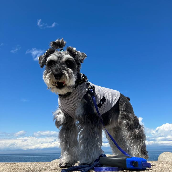 C84e4ce2 58af 40bf 8b2c 6fc2fca51143 1715871125360