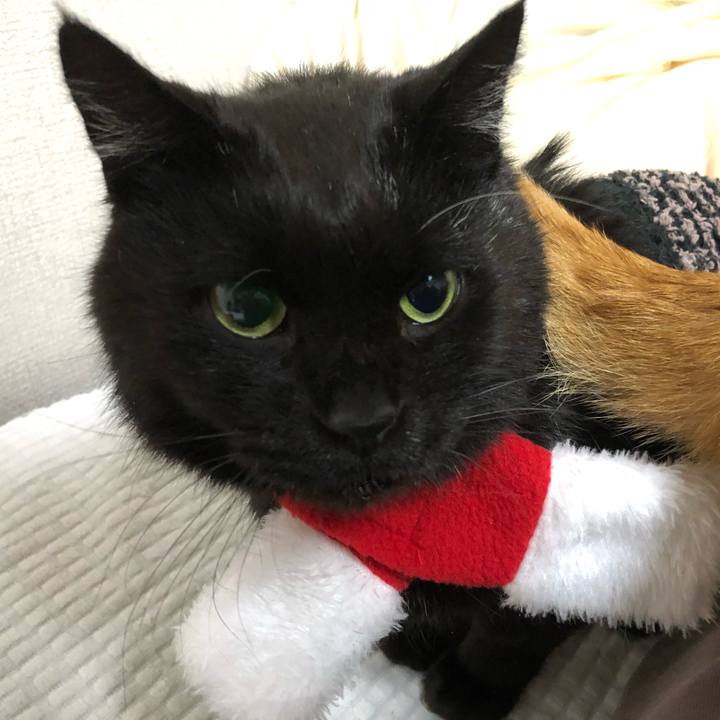 C84e65bd 718c 44ee 84c8 f10481aed166 1637241283274