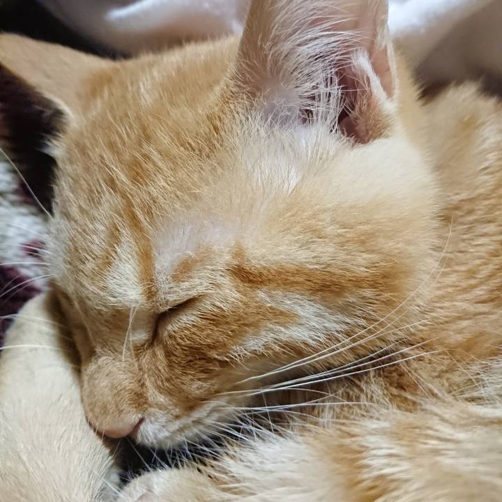 C84e6b75 7325 478c 811d 4abdea49d724 1634649469007