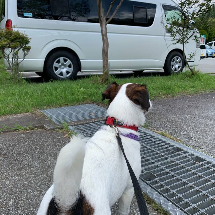 C84e7edb ec2c 4b08 9e08 915f5e4f994c 1595385091064