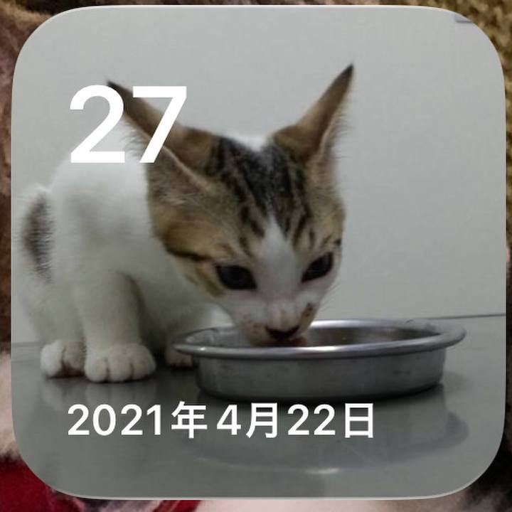 C84e9ed0 4e3a 4d7f 8d4f d82d3ad93149 1777243089267