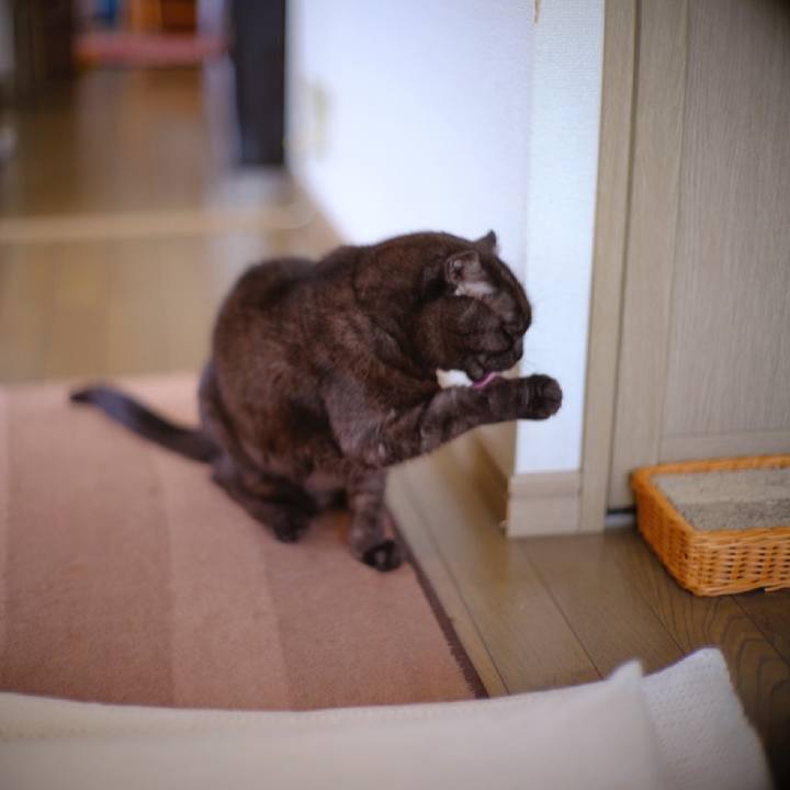 C84ed2cc 9d51 4bb7 b735 e79e96ba4cc7 1619269741002