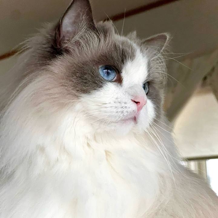 C84f0ef4 983f 41cc 9990 4270ddfa7311 1716762365578