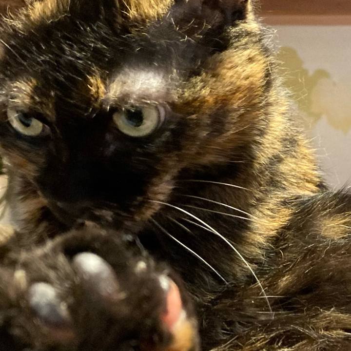 C84f4cb1 56a0 47fe 85c7 e099c4e00e6a 1683713066446