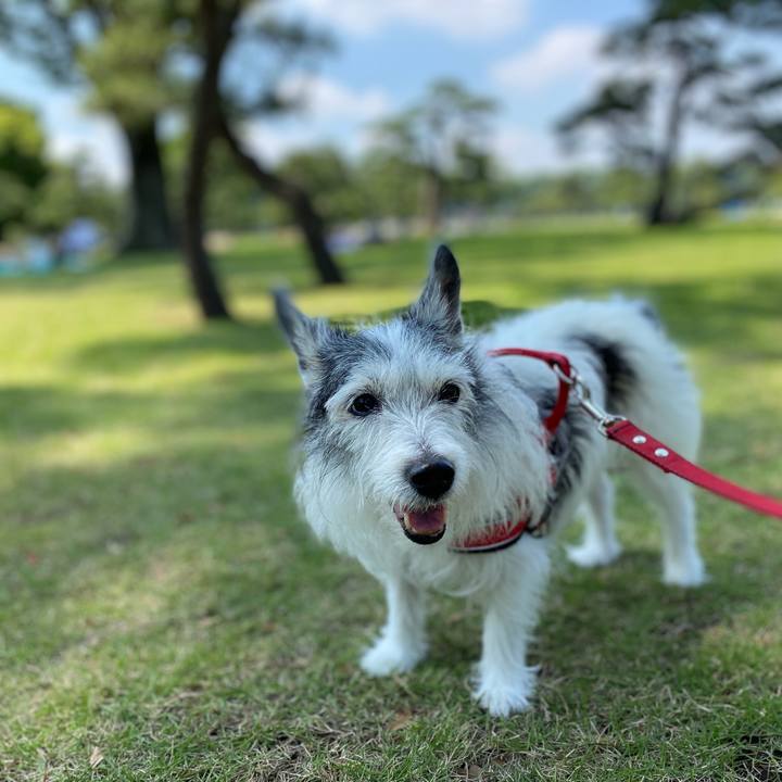 C84f5c74 3551 477b aecc c2638dd4260f 1621770806588