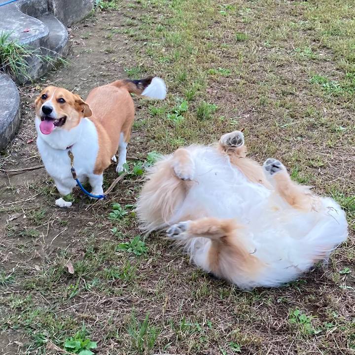 C84f6204 104b 4bda a844 a46c63cce10d 1633487562882