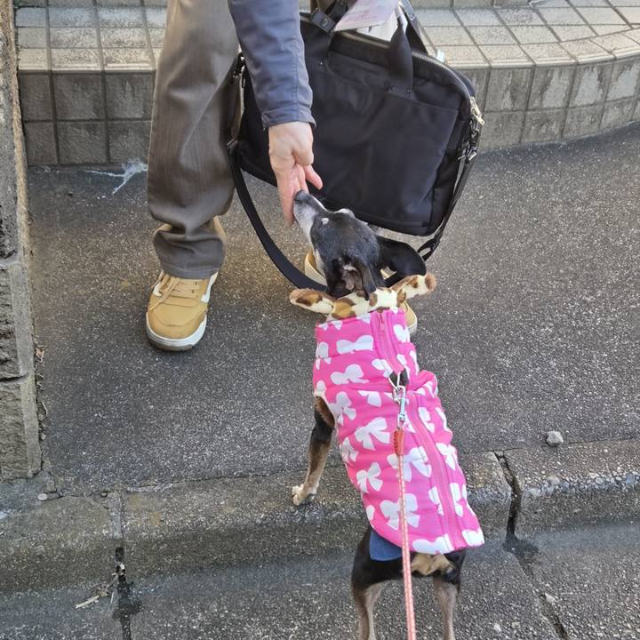 C84f7193 f4d9 478e 9380 8af71430d742 1765773046497