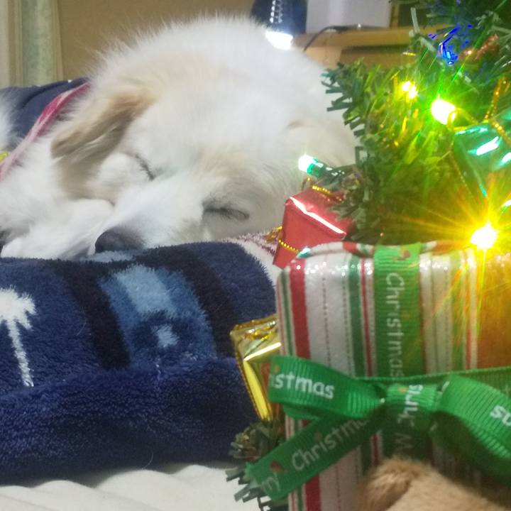 C84f9c21 7424 4695 b892 590128b951e5 1639950138006